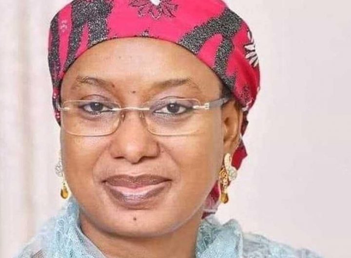 Senator binani