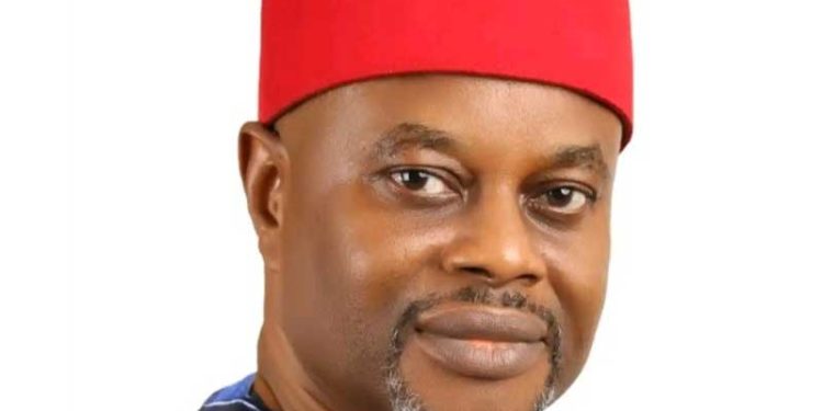 Uche nnaji 750x375