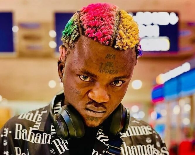 310119379 648144026904904 7876609854361257548 n 819x1024