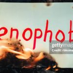 Gettyimages 1318187838 612x612
