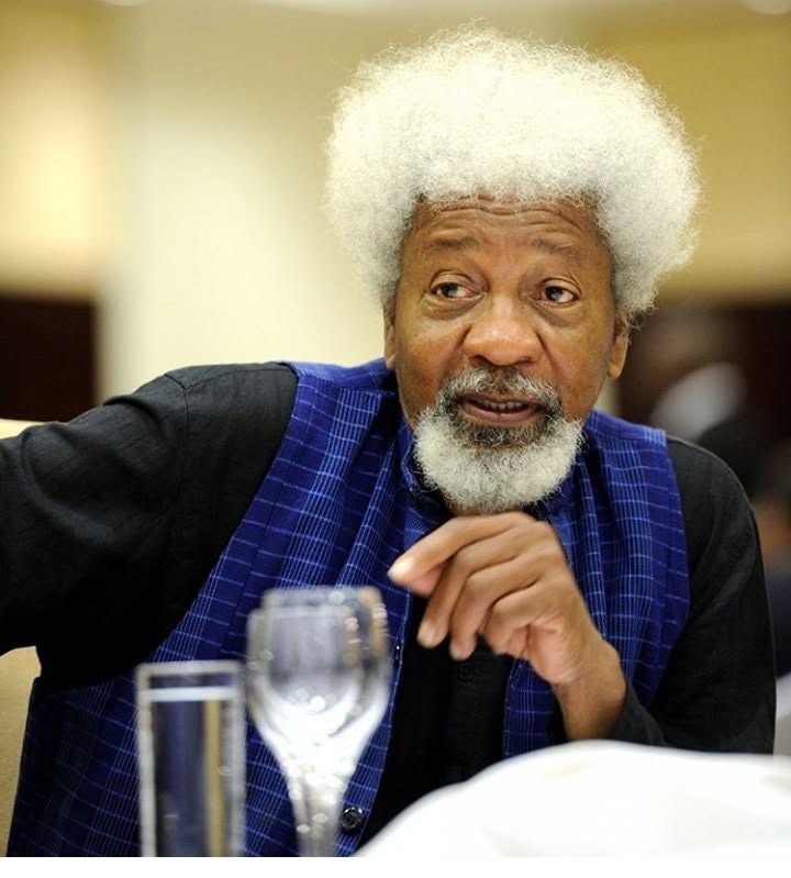 Professor Wole Soyinkaaa
